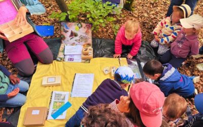 🐾Ecole dehors : sur la trace des animaux de la forêt