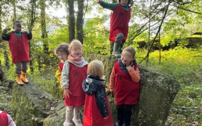 🌲 School in the Forest🌿