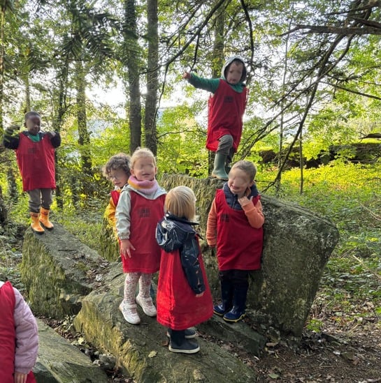 🌲 School in the Forest🌿
