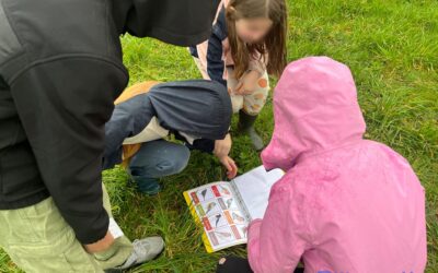 🌿🐦 Sortie au jardin collectif