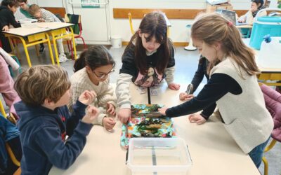 A la découverte des algues !