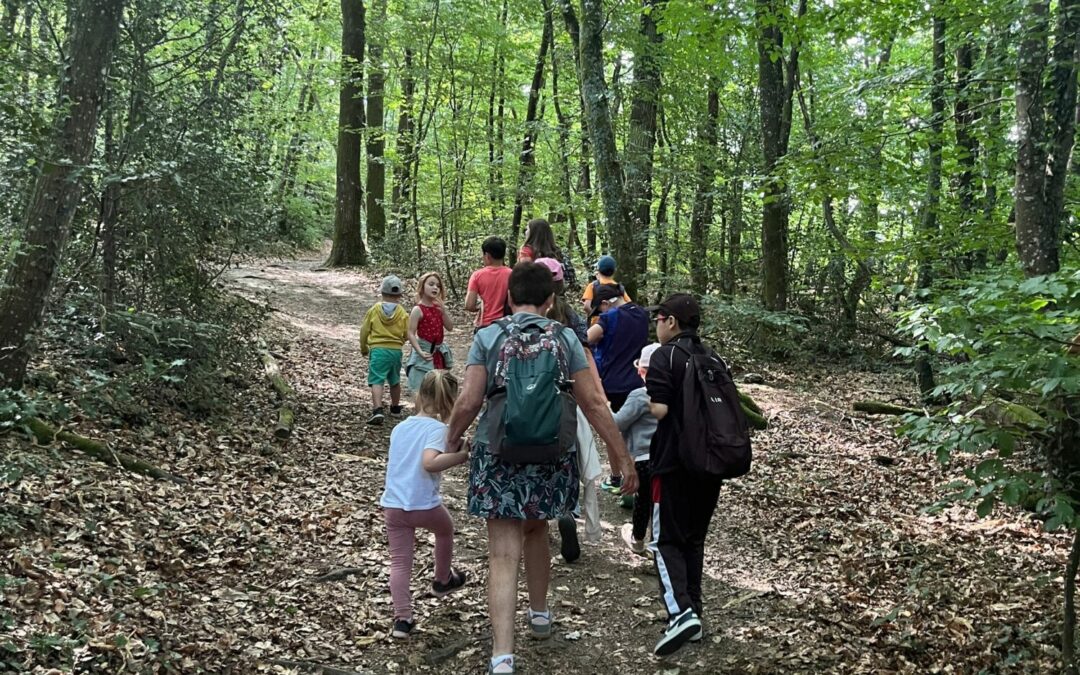 🌿 Une magnifique journée de randonnée ! 🧸