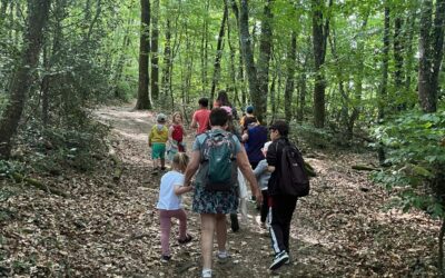 🌿 Une magnifique journée de randonnée ! 🧸