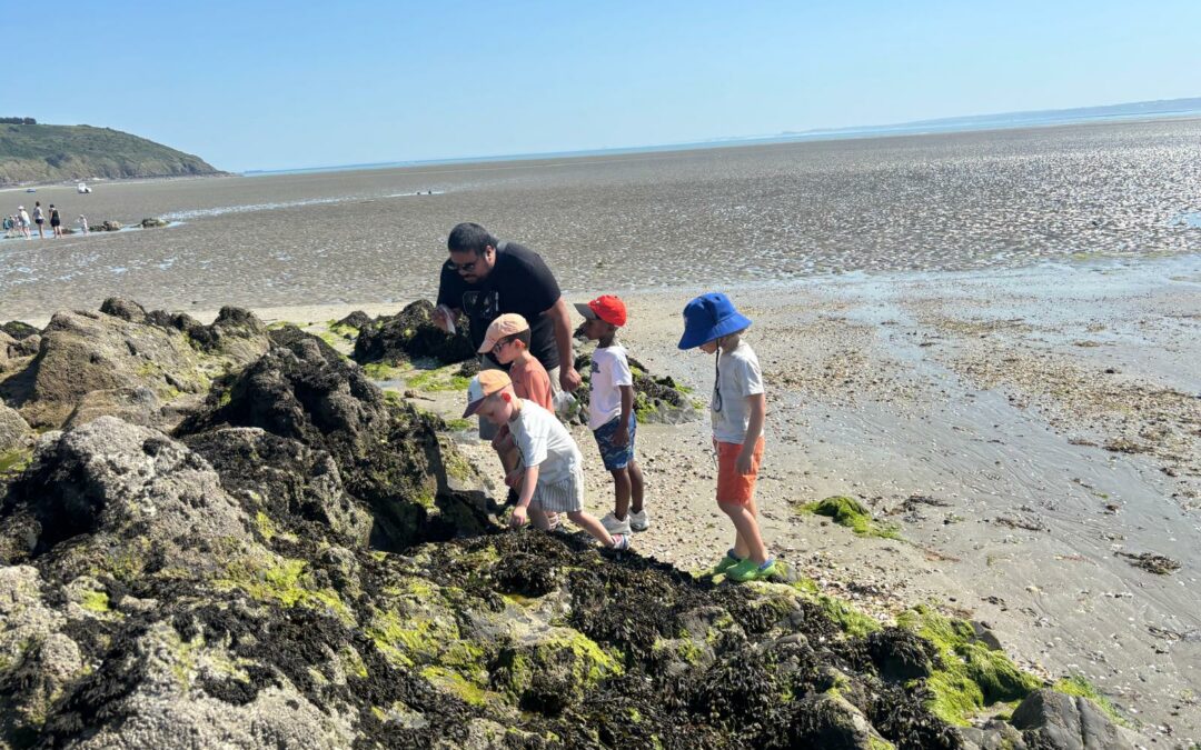 🌊🐚 À la découverte de la laisse de mer avec les Petits Débrouillards 🦀🔎