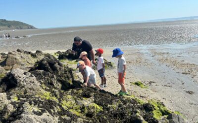 🌊🐚 À la découverte de la laisse de mer avec les Petits Débrouillards 🦀🔎